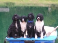 Boatdoggies
