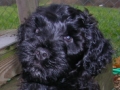 Daisy1106_000