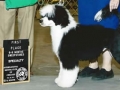 LUKEIKC20112_000