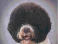 Murphyheadshot_000