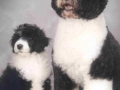murphy_and_molly