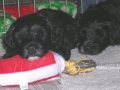 sleepy_6wks